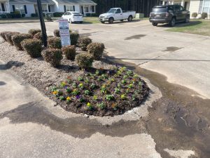 Outdoor Services in Georgia