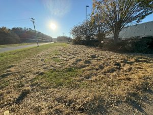 Outdoor Services in Georgia